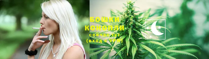 Канабис SATIVA & INDICA  Луга 